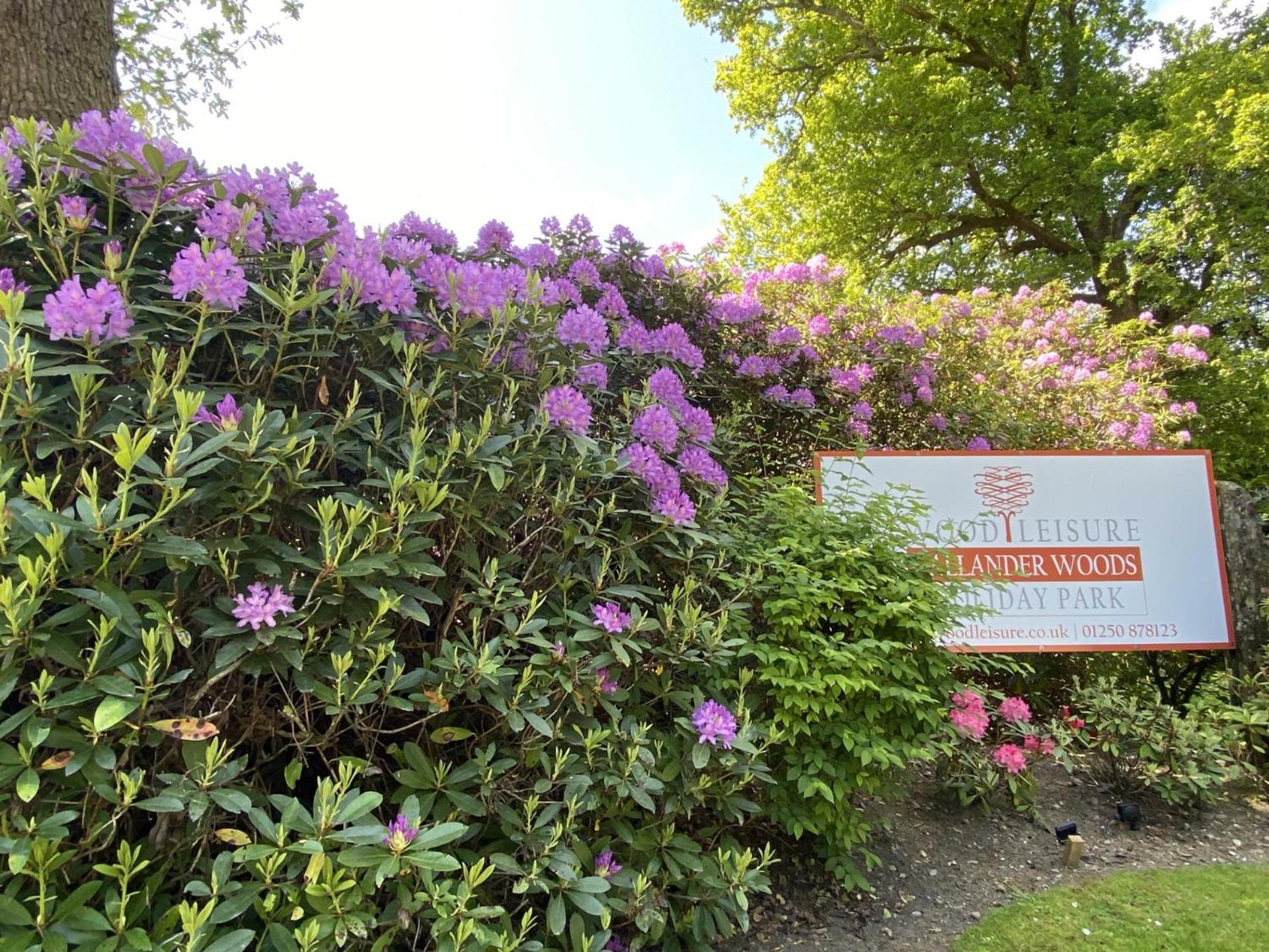 Callander Woods Holiday Park Exterior foto